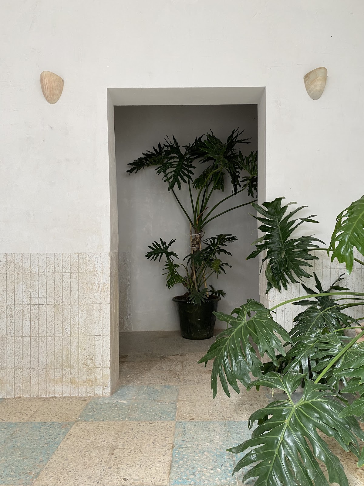 LA CLÍNICA gallery 3