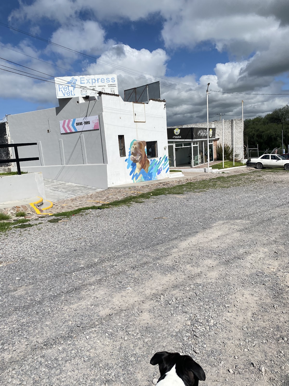 La Manada gallery 3
