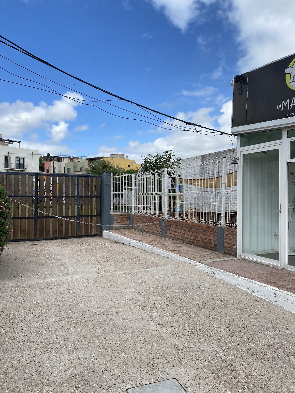 La Manada gallery 4