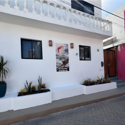 La Sirenita Hotel Boutique gallery 8