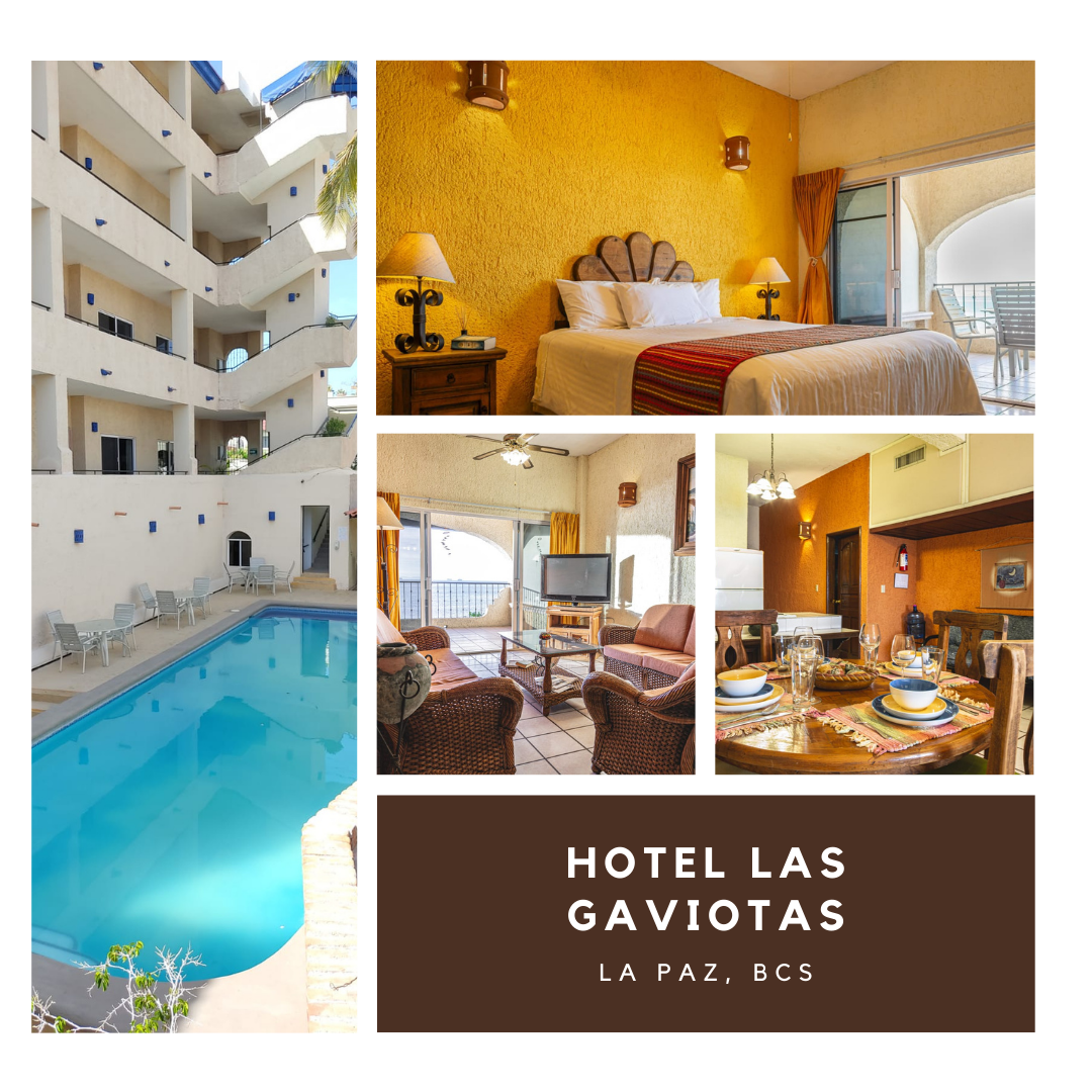 Las Gaviotas Resort gallery 10