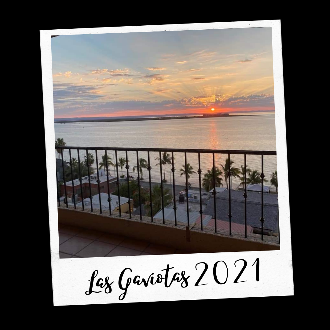 Las Gaviotas Resort gallery 7