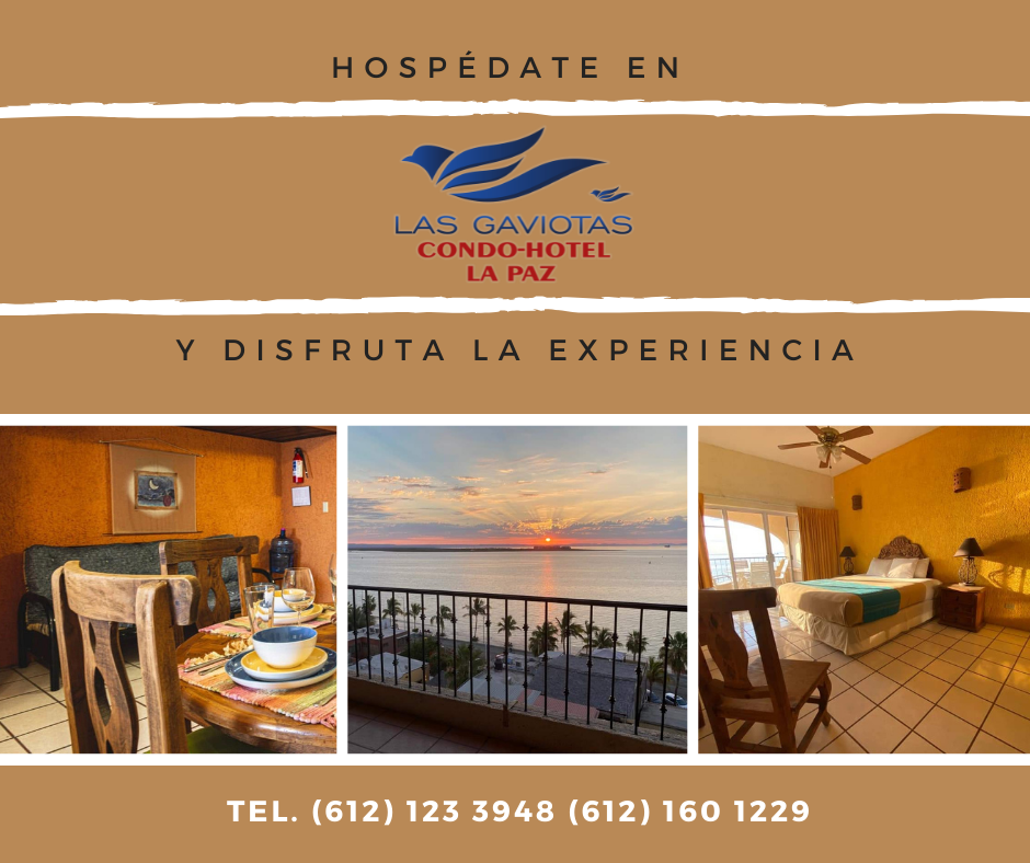 Las Gaviotas Resort gallery 9