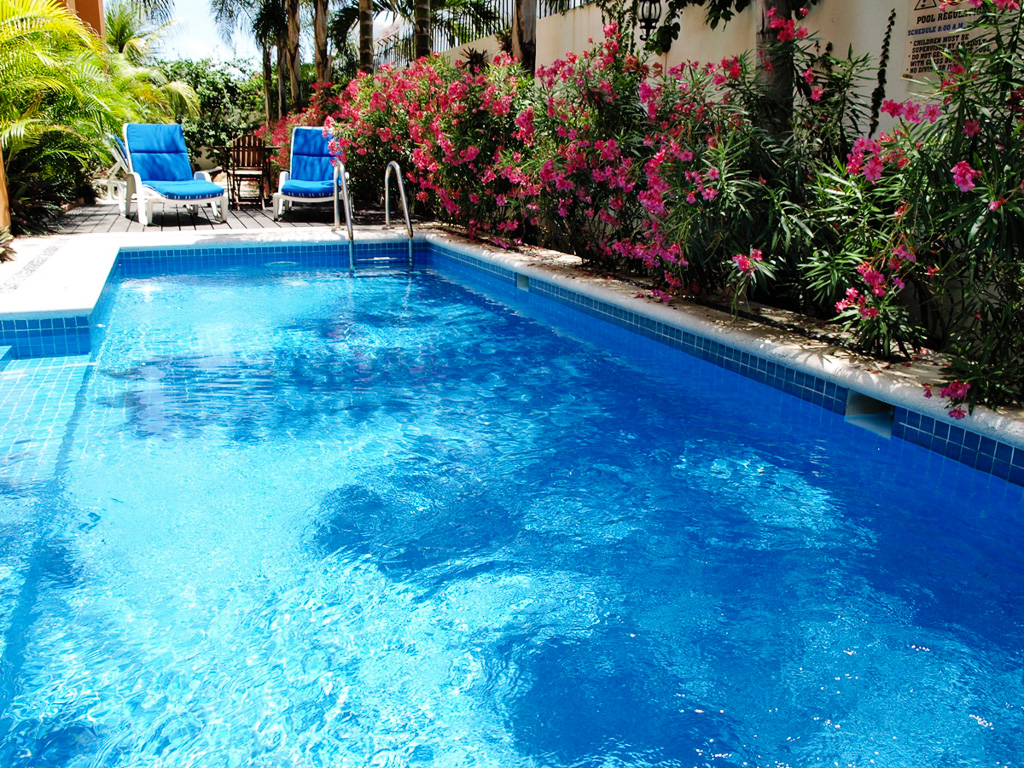 Las Golondrinas Hotel gallery 6