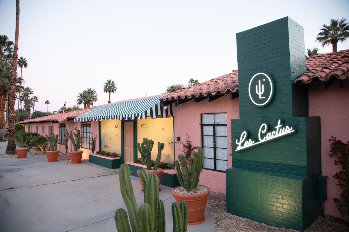 Les Cactus gallery 4