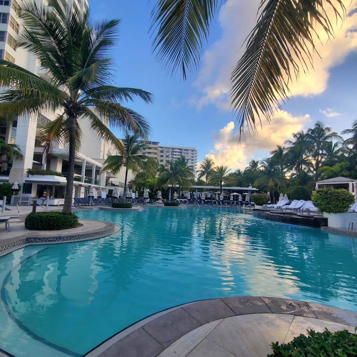 Loews Miami Beach Hotel gallery 3