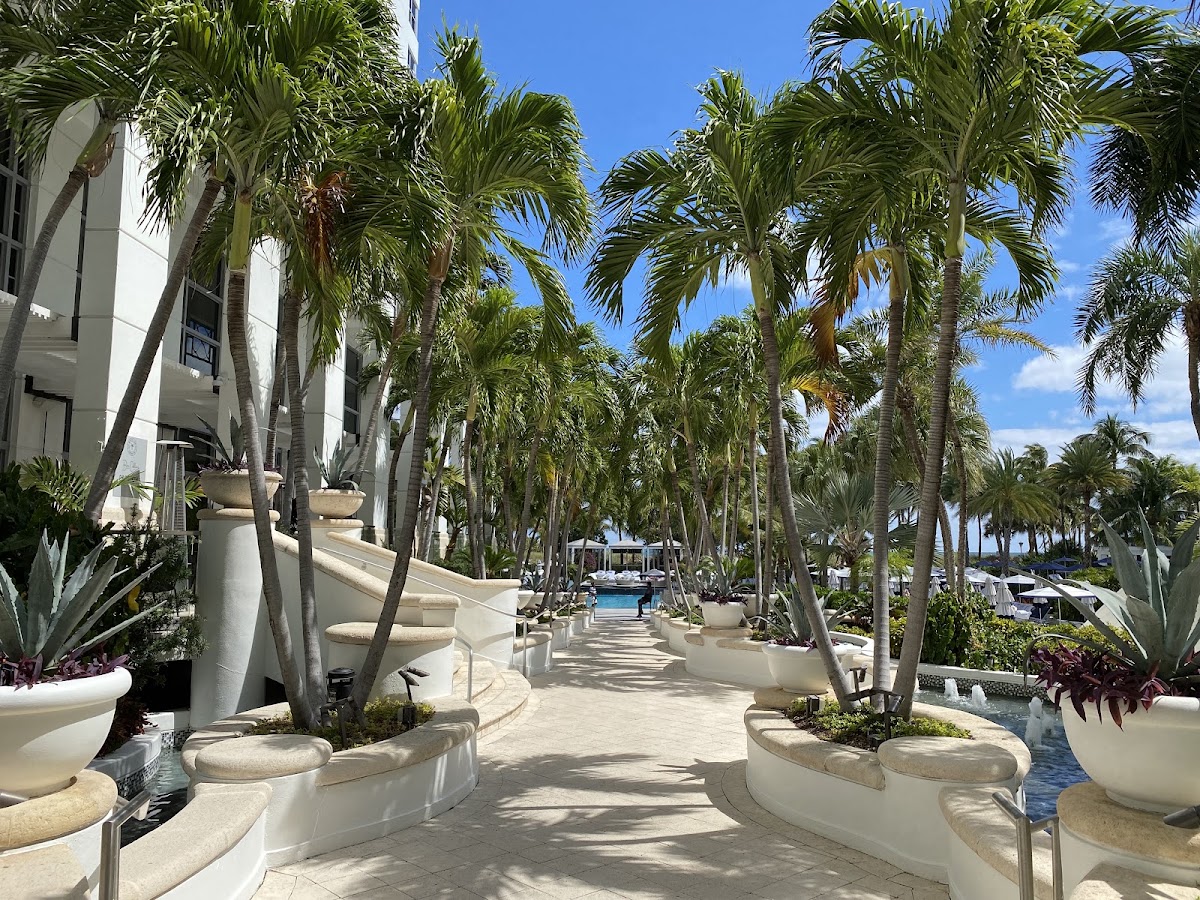 Loews Miami Beach Hotel gallery 8