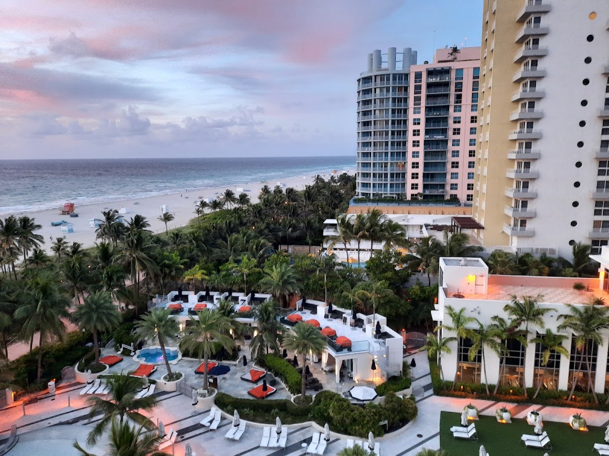Loews Miami Beach Hotel gallery 9