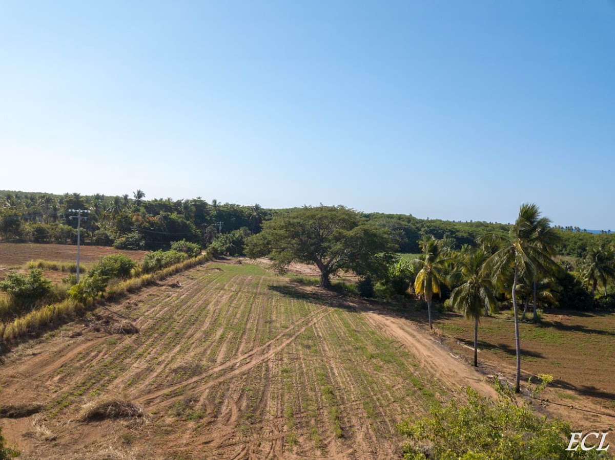 Los Naranjos Lakeside gallery 7