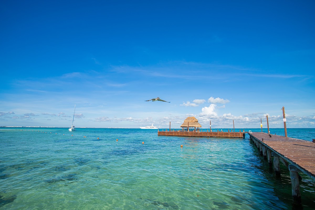 Mía Reef Isla Mujeres gallery 8