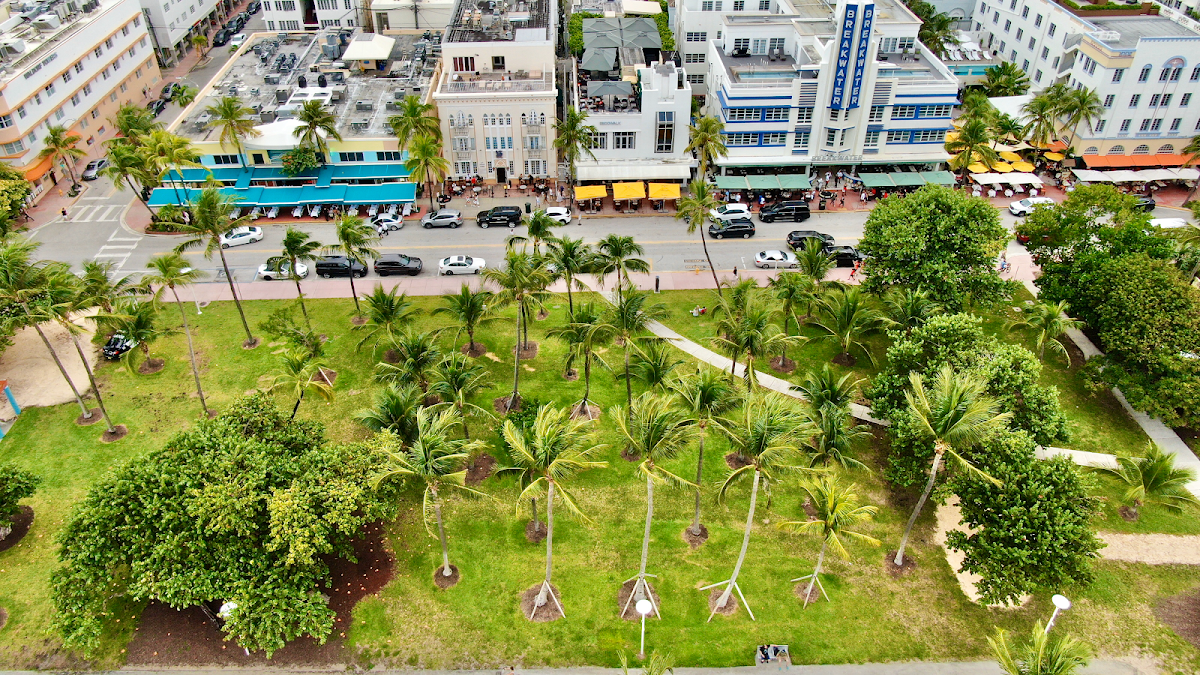 Miami Party Hostel gallery 1