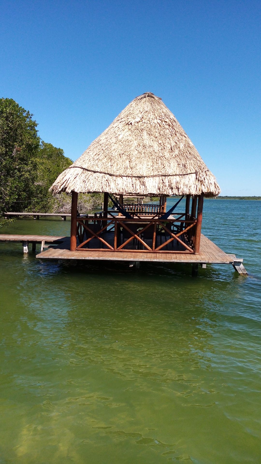 Mis Casas gallery 3