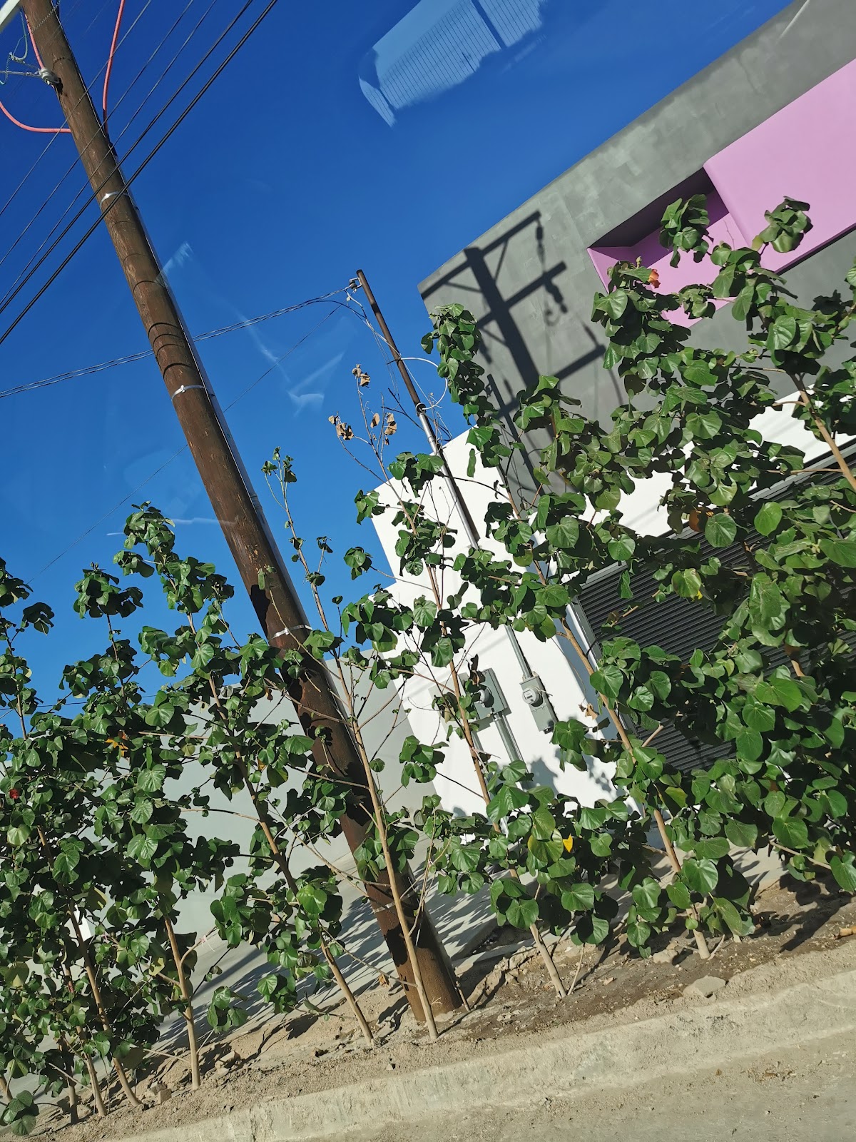 Motel Caramelo La Paz gallery 1