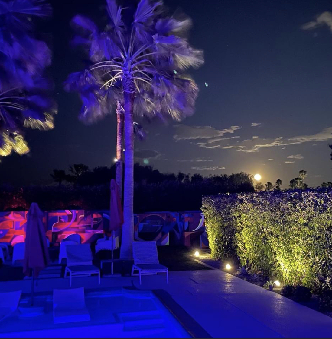 Neon Oasis PS gallery 7