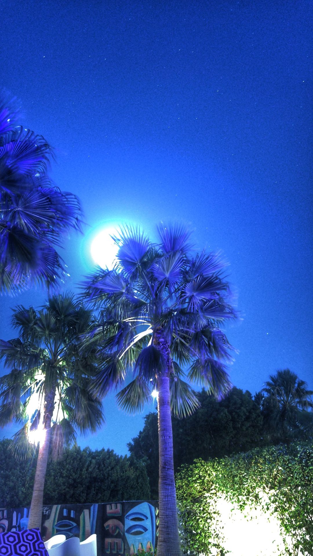Neon Oasis PS gallery 9
