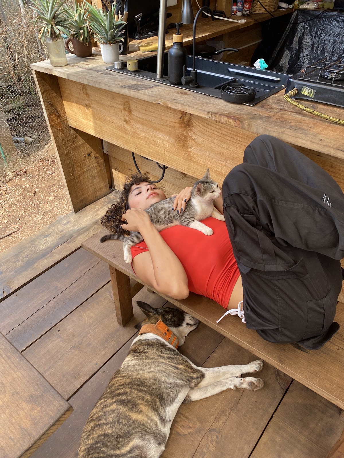 Omnia PXM - Cabañas Glamping / Camping gallery 9