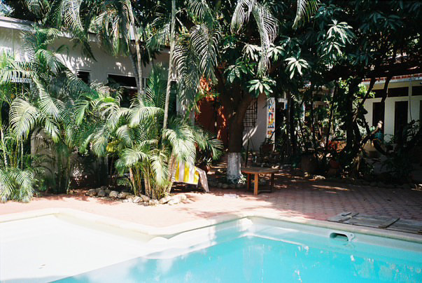 Osa Mariposa gallery 3