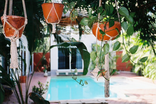 Osa Mariposa gallery 5