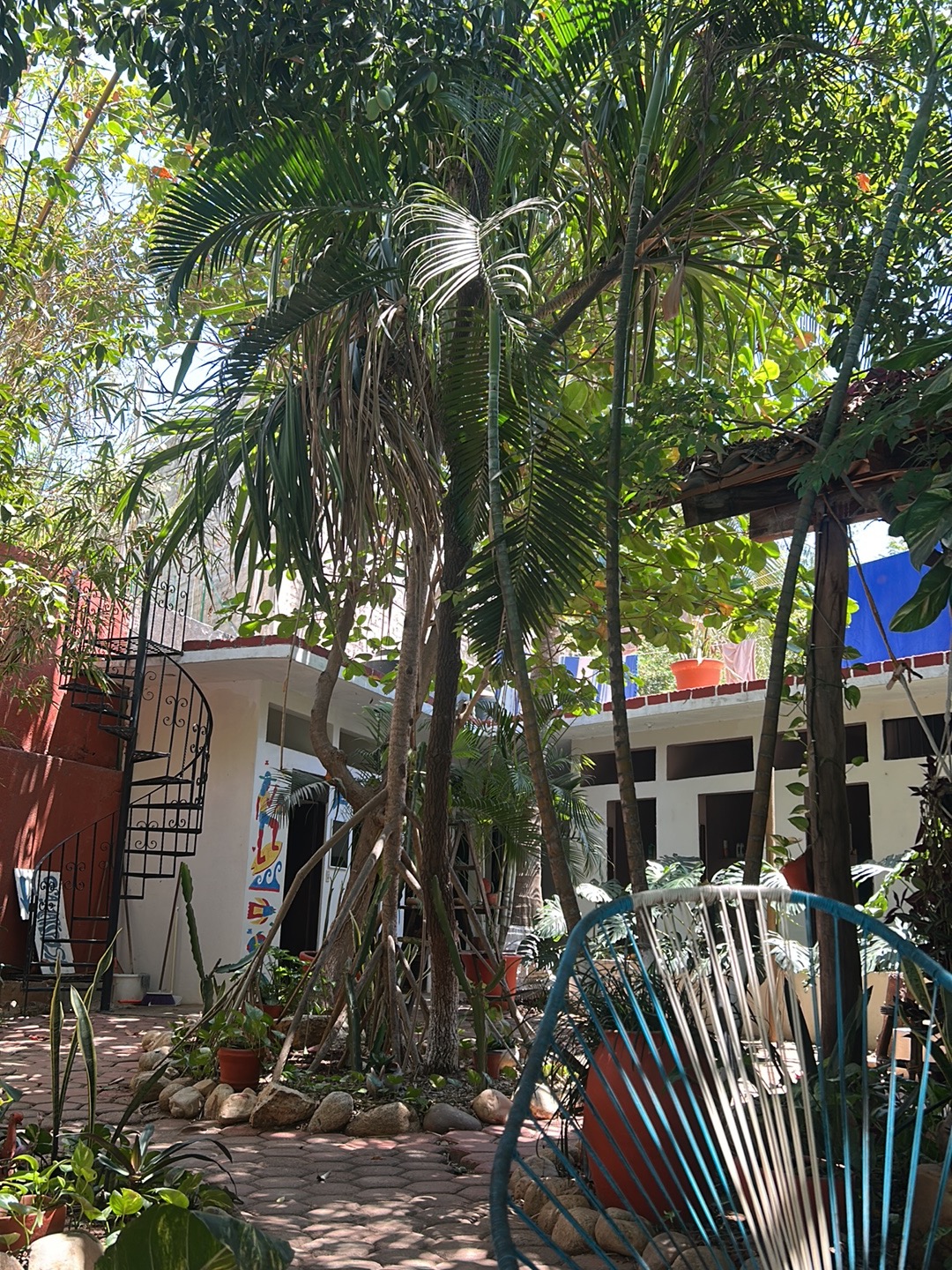 Osa Mariposa gallery 8