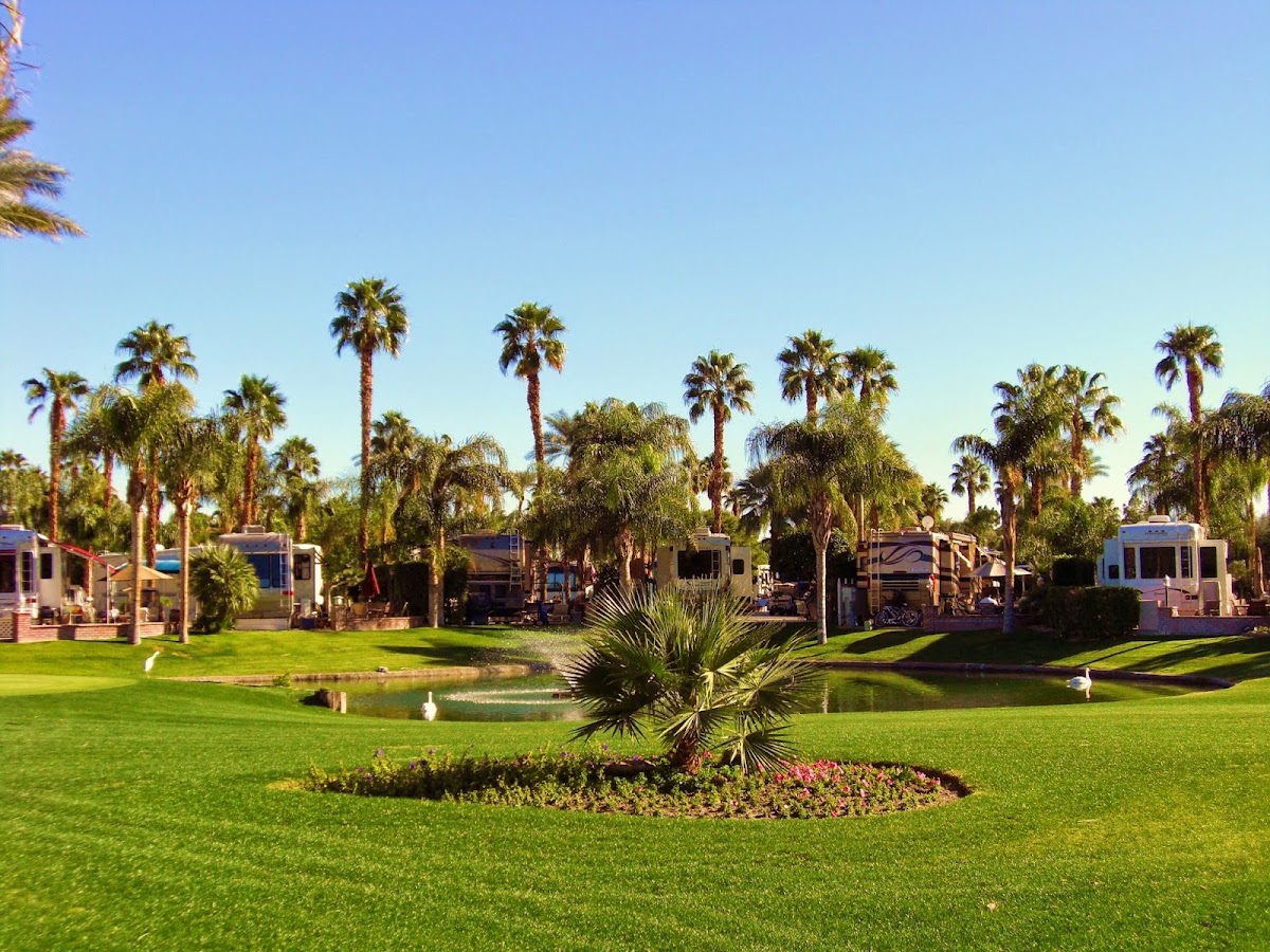 Outdoor Resort Palm Springs gallery 1