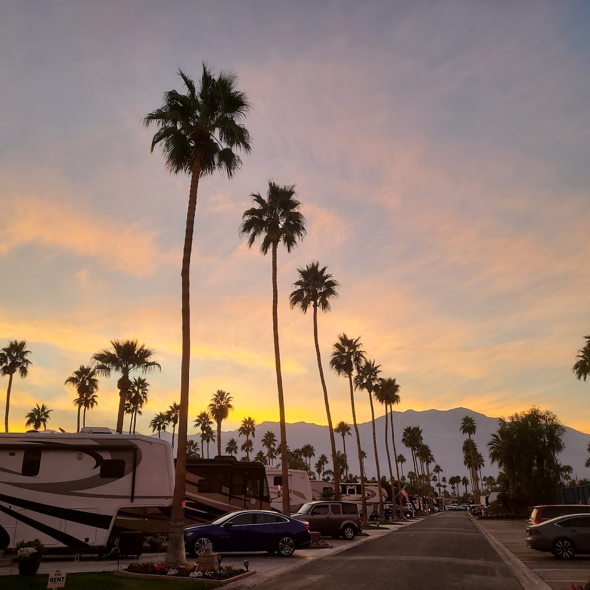 Outdoor Resort Palm Springs gallery 10