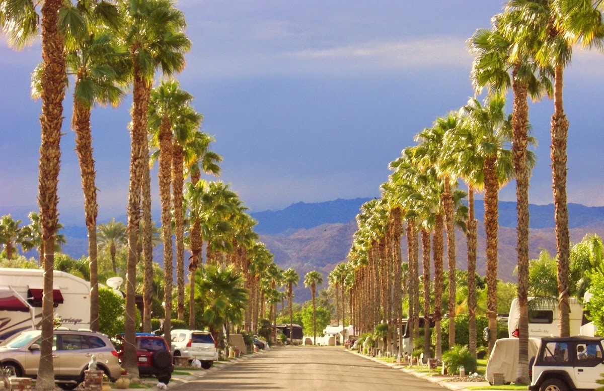 Outdoor Resort Palm Springs gallery 4
