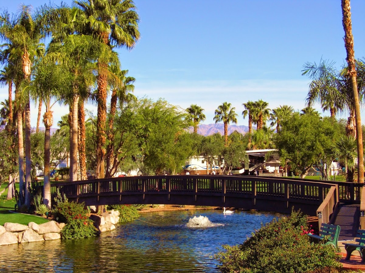 Outdoor Resort Palm Springs gallery 5
