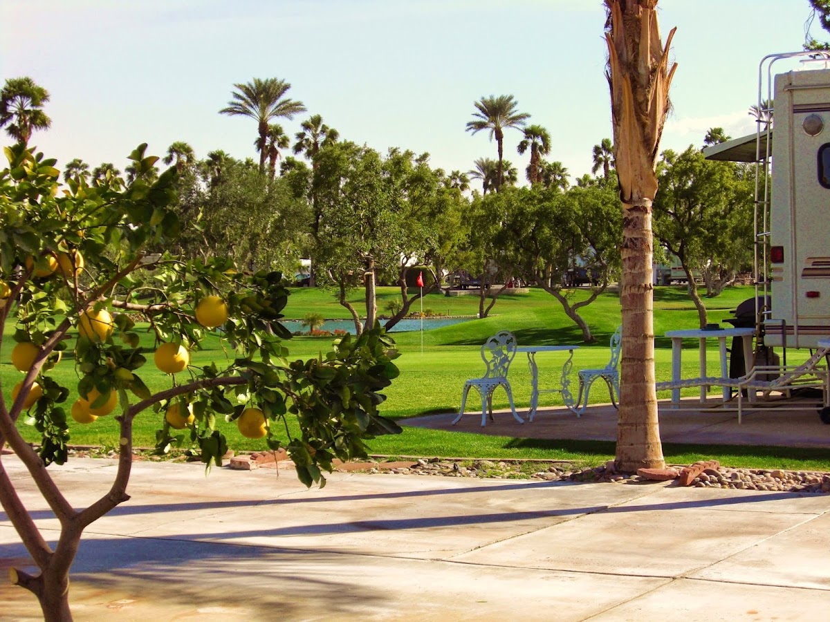 Outdoor Resort Palm Springs gallery 6