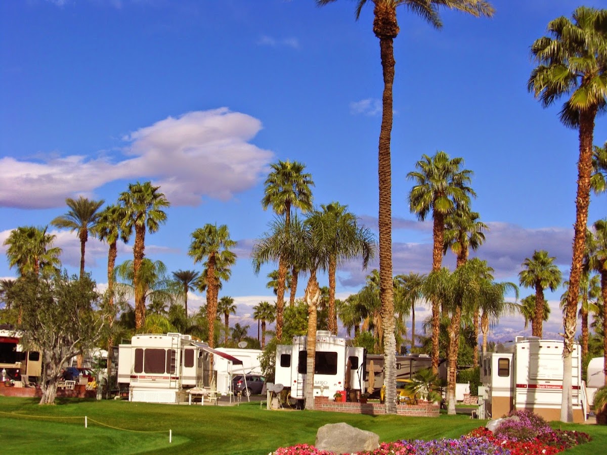 Outdoor Resort Palm Springs gallery 7