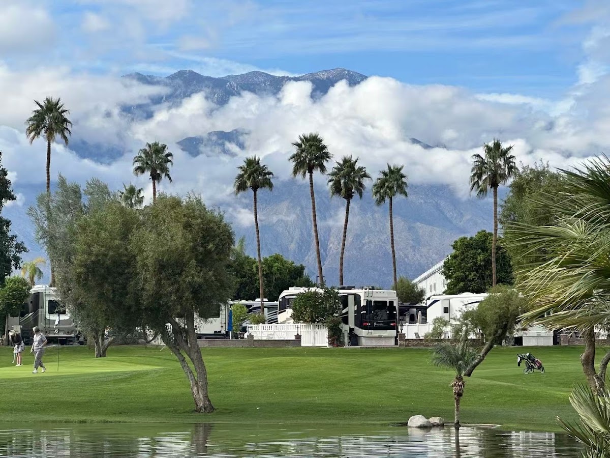 Outdoor Resort Palm Springs gallery 8