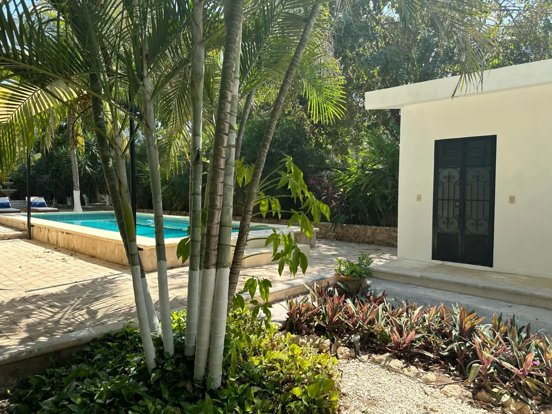 Casa Cheros gallery 10