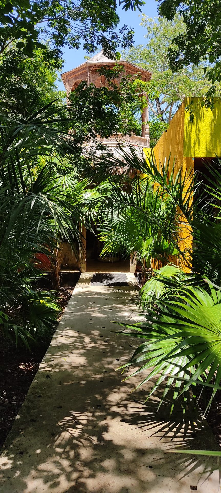 OZEN Retreat and Yoga Center gallery 8
