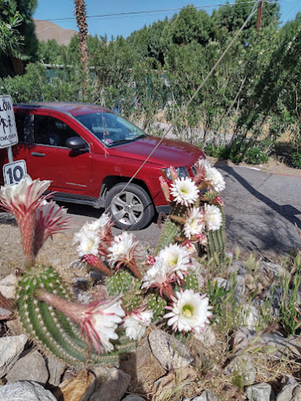Palm Springs Mobile Home and RV Community gallery 6
