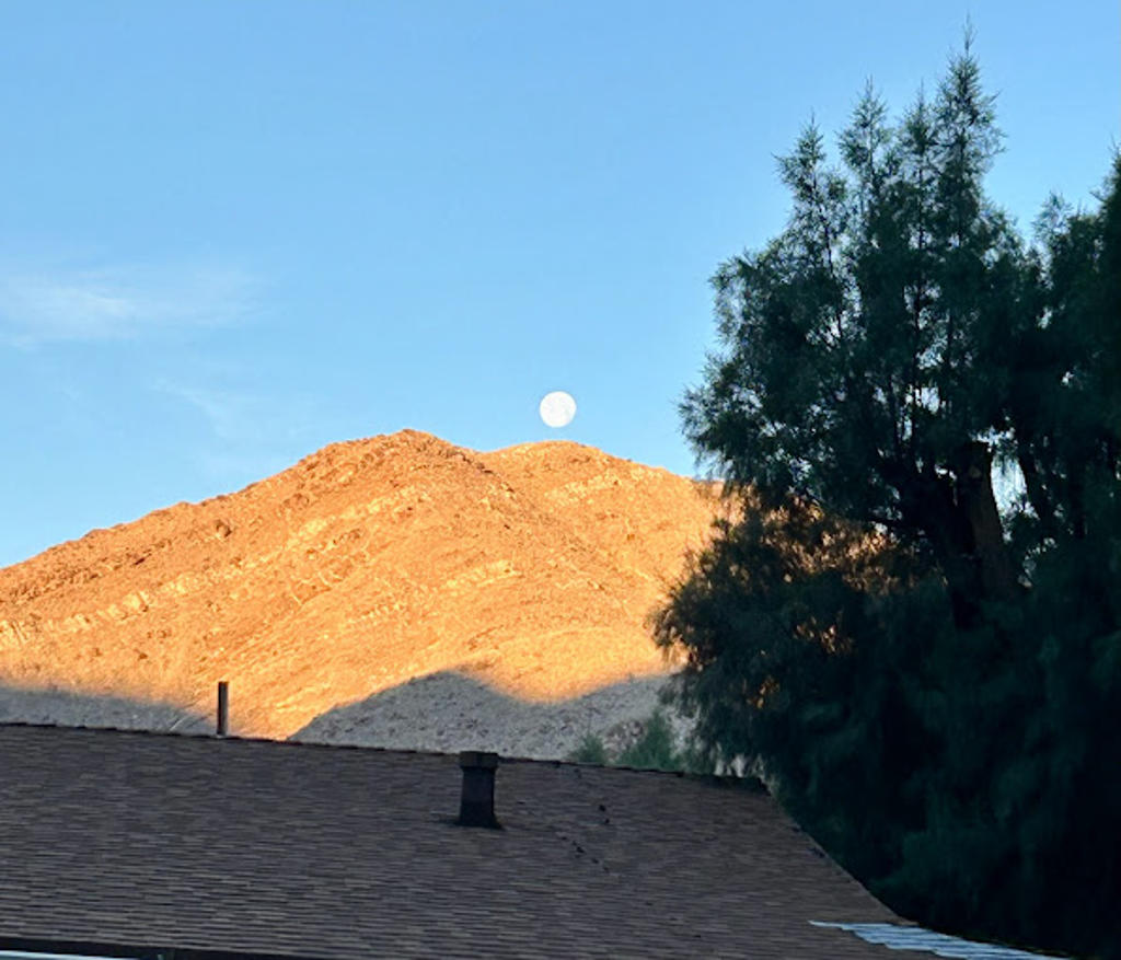 Palm Springs Mobile Home and RV Community gallery 7