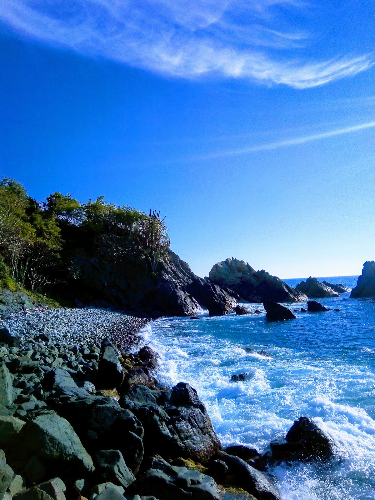 Palmetto Ixtapa gallery 1