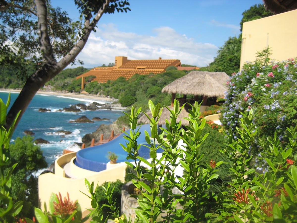 Palmetto Ixtapa gallery 3
