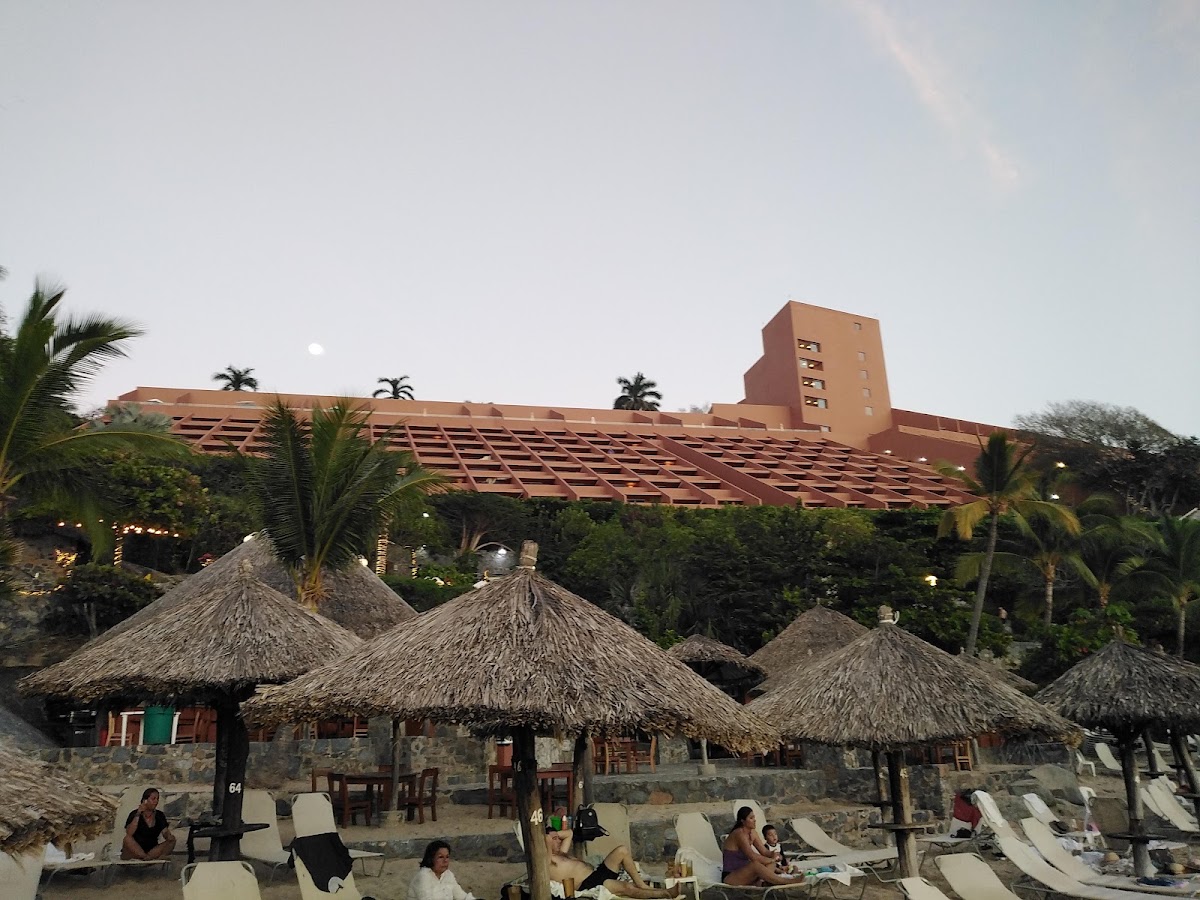Palmetto Ixtapa gallery 5