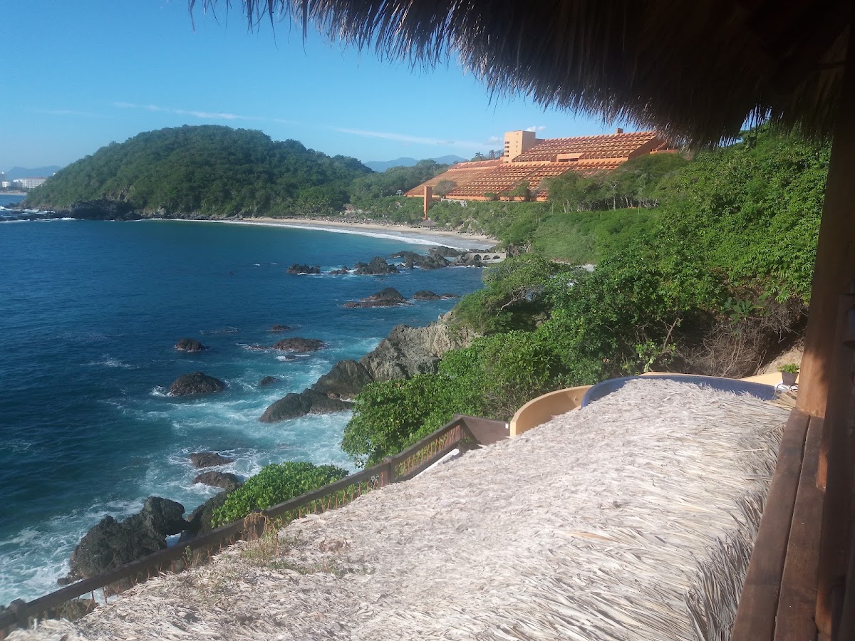 Palmetto Ixtapa gallery 6