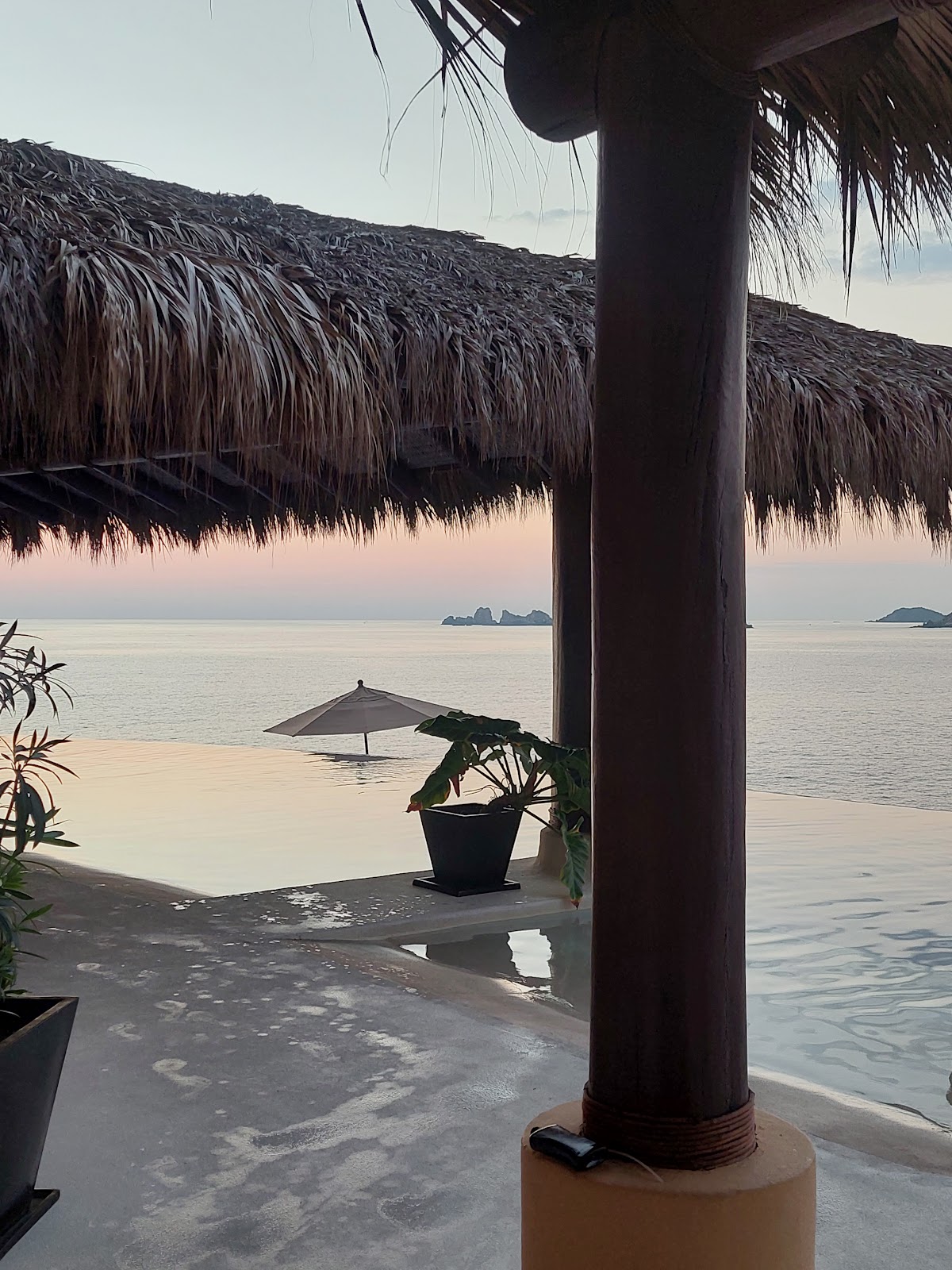 Palmetto Ixtapa gallery 7
