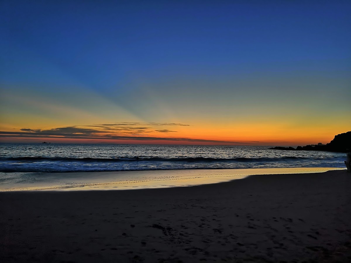 Palmetto Ixtapa gallery 8
