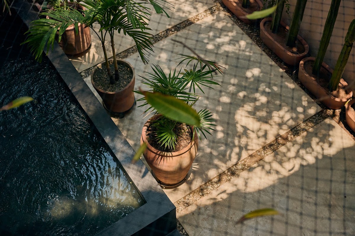 Pan Beach gallery 7
