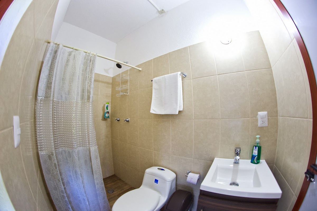 Paziflora Hostel -STARLINK- gallery 4