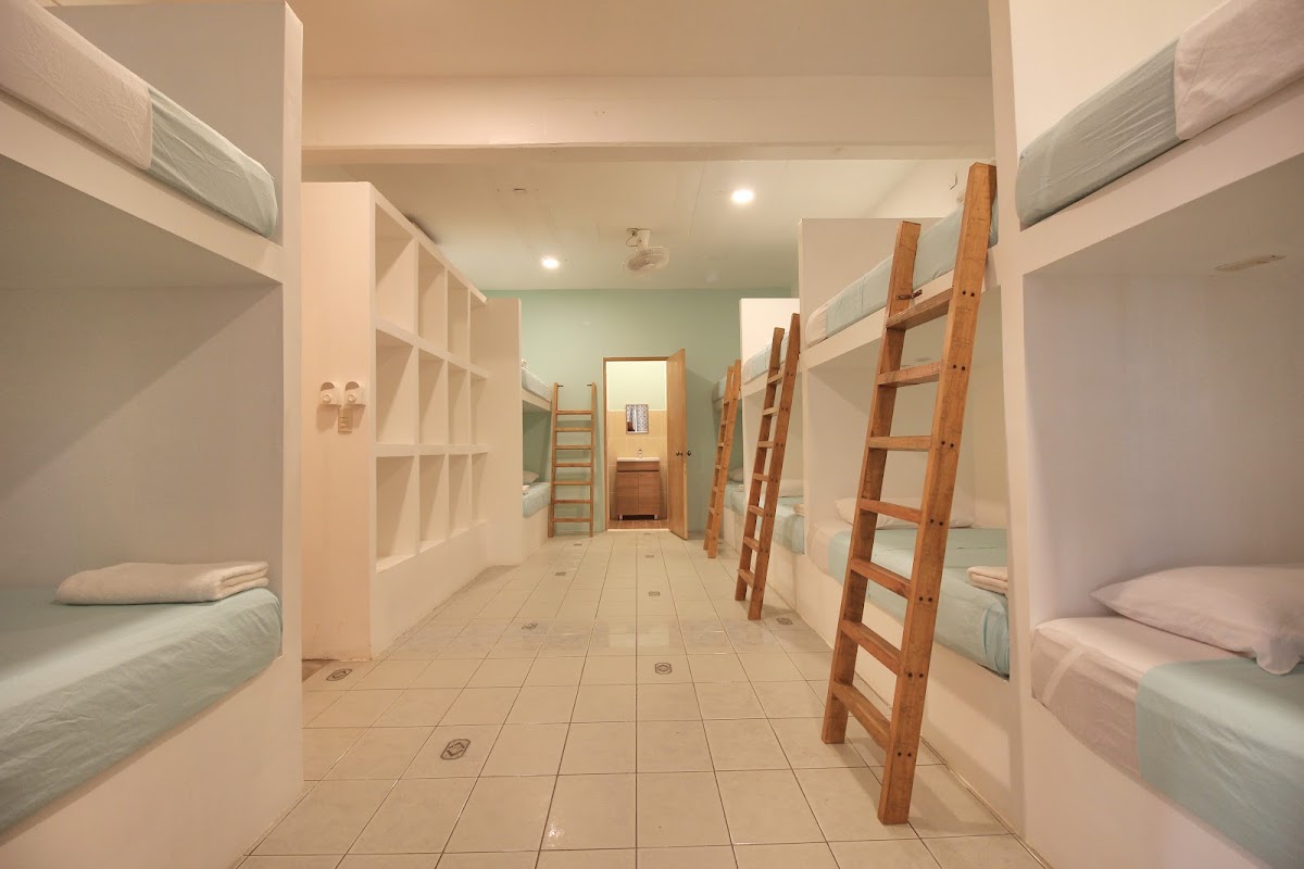 Paziflora Hostel -STARLINK- gallery 7