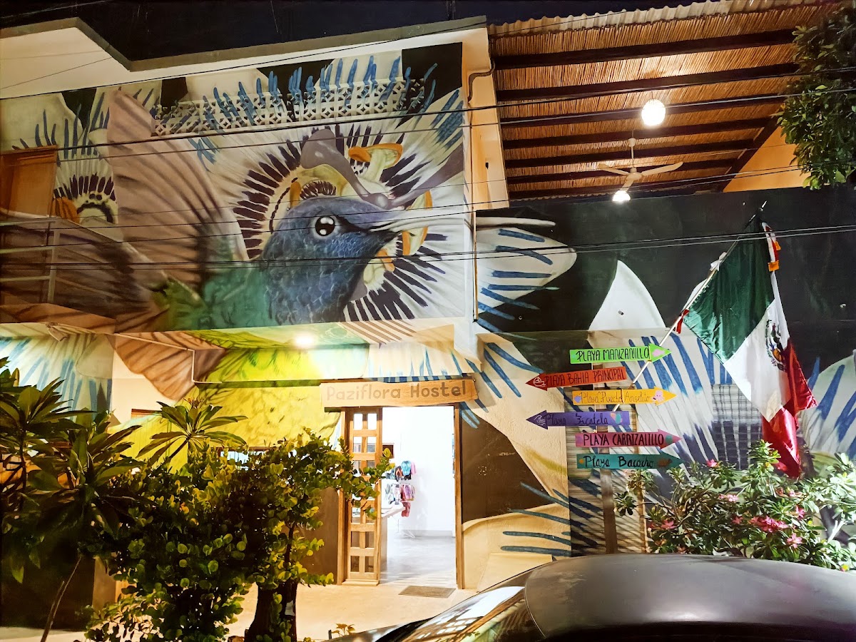 Paziflora Hostel -STARLINK- gallery 8