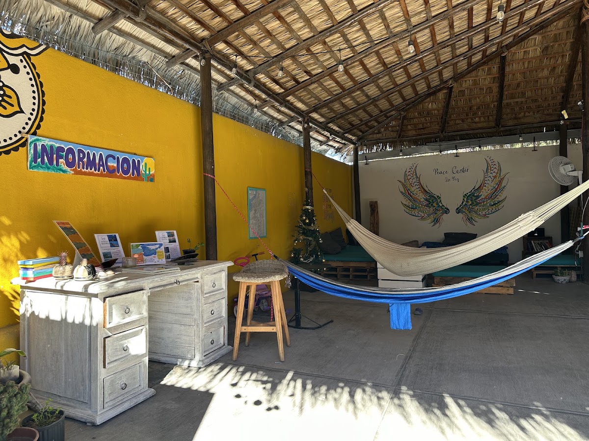 Peace Center gallery 3