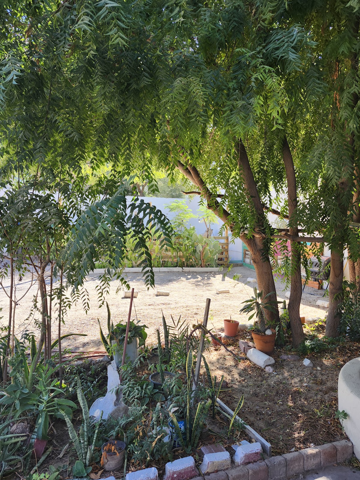 Peace Center gallery 6