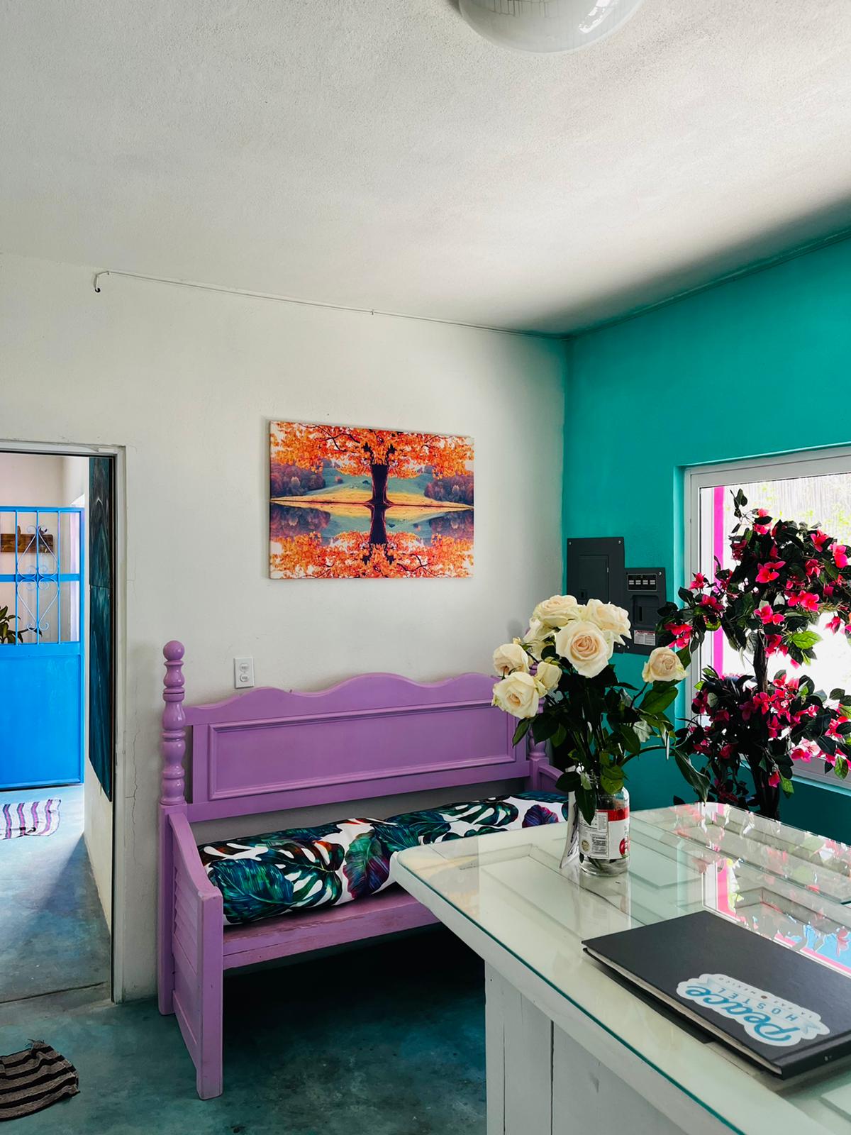 Peace Hostel Petfriendly Queer 420 gallery 7