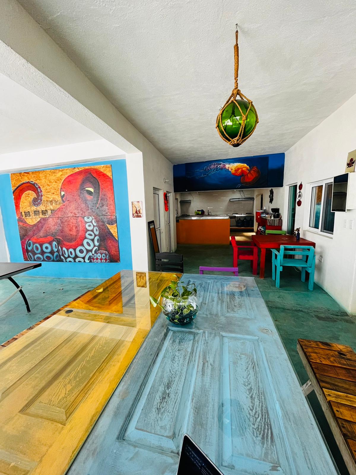 Peace Hostel Petfriendly Queer 420 gallery 8