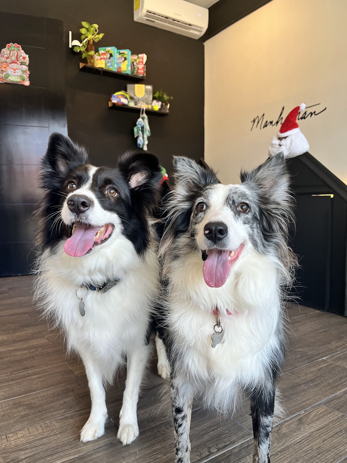Pet Room Home gallery 3