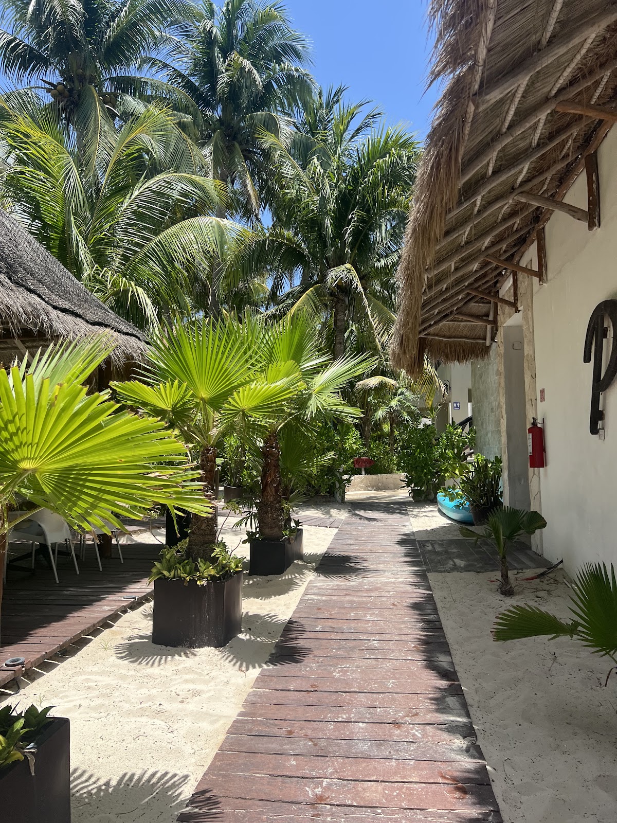 Playa Arena gallery 1